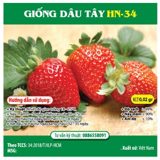 Hạt giống dâu tây gói 0.02gr ~ 20 hạt - hóa nông
