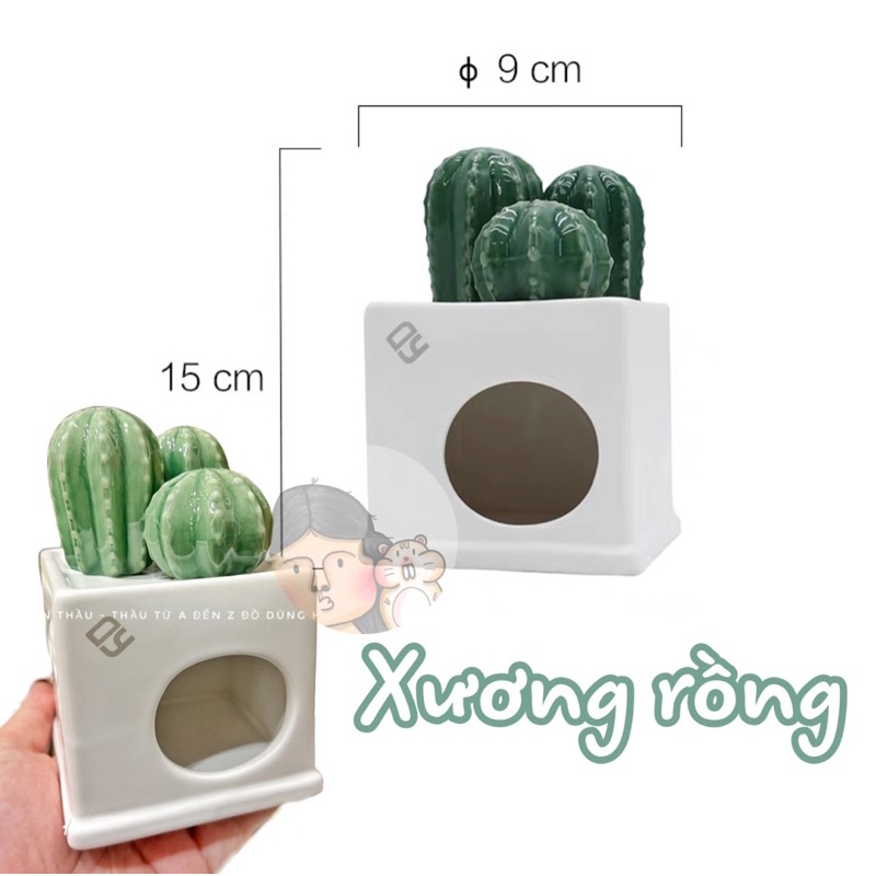 Nhà sứ Dayang đáng cưng dành cho Hamster