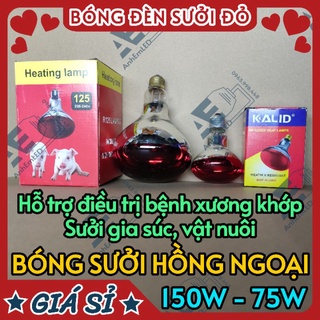 Bóng đèn sưởi hồng ngoại chữa bệnh, động vật, gia súc, chó, mèo, gà, lợn