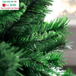 Cây thông noel 2m1 chân sắt trang trí giáng sinh - cây thông noel 1m5 1m8