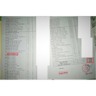 Hộp 20 bút bi bấm TL08