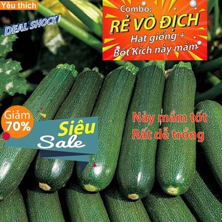 Hạt giống bí ngòi xanh 3 hạt -