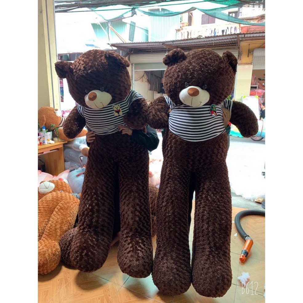 (CÓ ẢNH THẬT)Gấu Bông Teddy ngồi đủ size 90cm, 100cm, 1m2, 1m6, 1m8 siêu to khổng lồ cực mịn hàng nhập khẩu - GẤU TEDDY