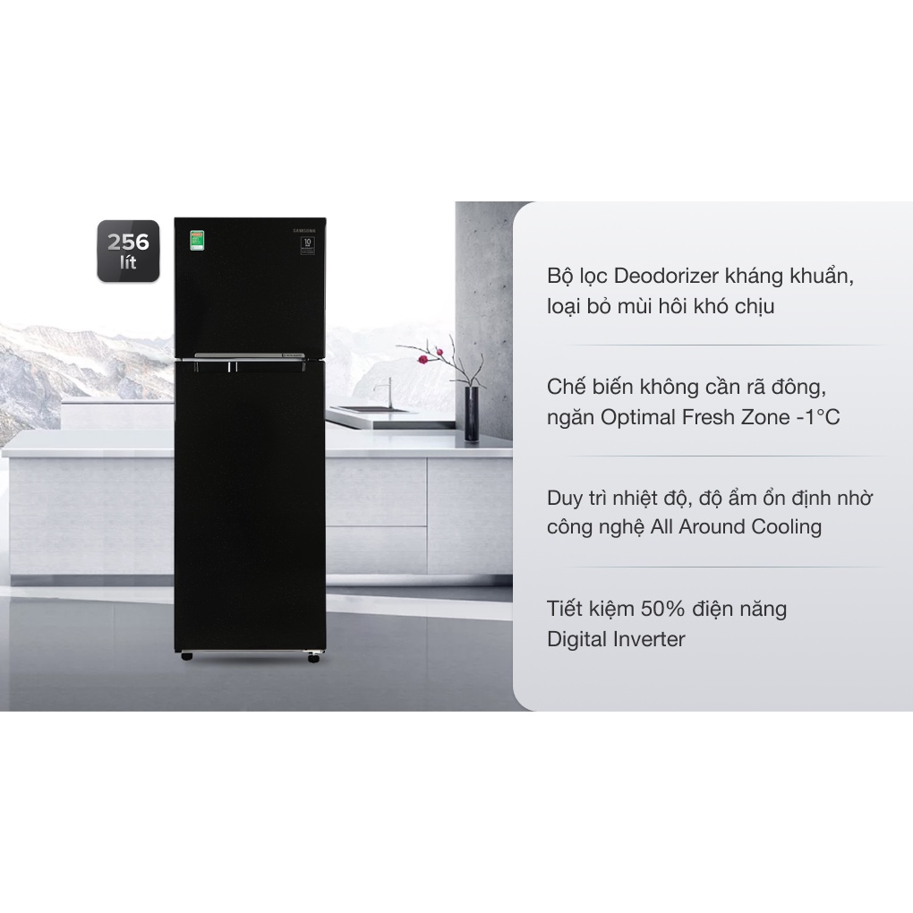 Tủ lạnh Samsung Inverter 256 lít RT25M4032BU/SV 2020 - Showroom Tivi TPHCM