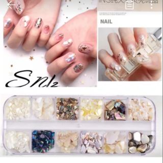 Xà cừ, bào ngư, vỏ sò trang trí móng