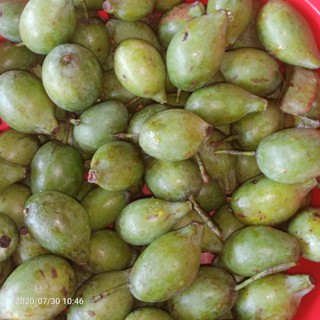 Quả dọc Phú Thọ