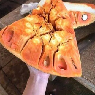 mít ruột đỏ sơ đỏ