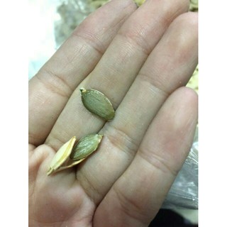 1kg hạt bí rang củi