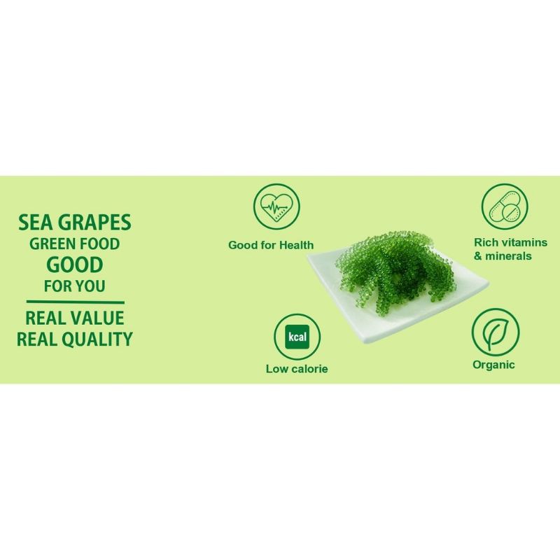 Rong Nho Greenfood - Gói 20gr Tách Nước Công Nghệ Nhật Tặng Kèm Sốt Mè Rang