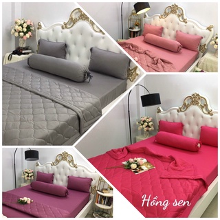 Bộ Ga Giường Thun Lạnh Hàn Quốc Màu Trơn Xưởng Ga Gối Hồng Nhung HN190