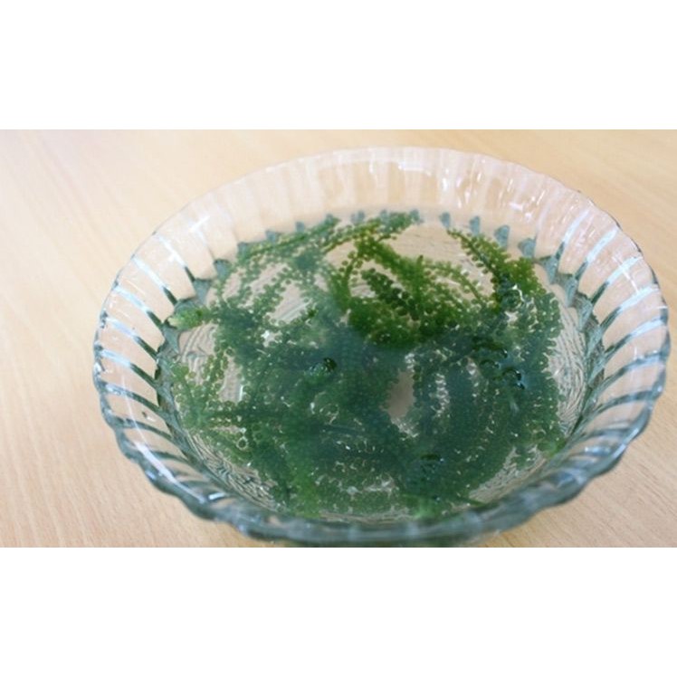 Rong nho tách nước 100gr ngâm nở 300gr rong tươi