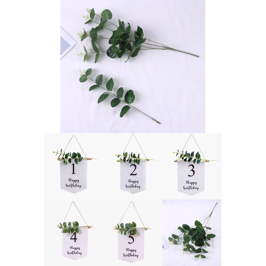 Nhánh Cành Lá Táo Đơn Trang Trí Banner Sinh Nhật Hàn Quốc