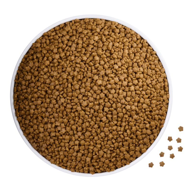 Thức ăn cho mèo mang thai và nuôi con, cho mèo con tập ăn MeO Mother &amp; Baby Cat