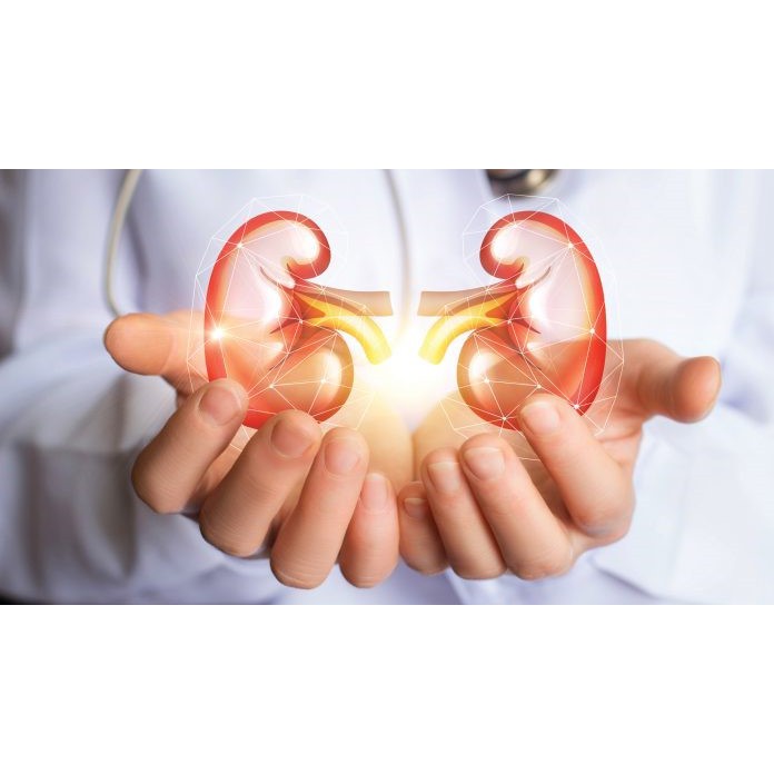 Viên tiểu đêm EXTRA, giảm triệu chứng đi tiểu nhiều lần, tiểu són và tiểu đêm