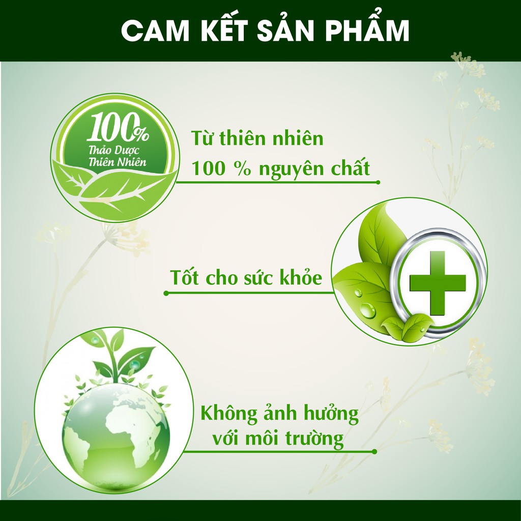 Tinh Dầu Hoa Anh Đào - Tinh chất 100% tự nhiên - Lọ 10 - 30ml