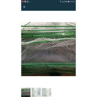 Lồng bát quái 29 cửa