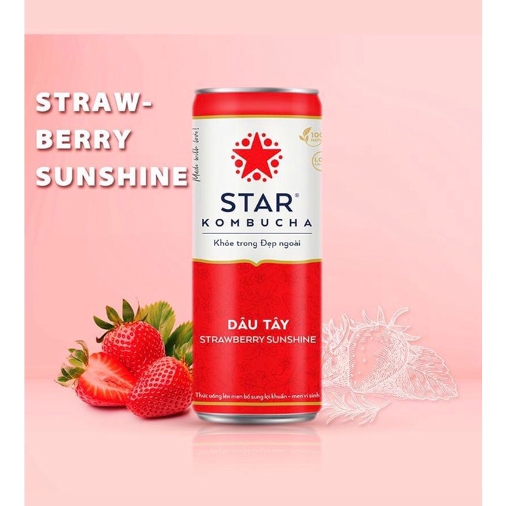 Trà Star Kombucha Bổ sung Lợi Khuẩn Men Vi Sinh-Vị Dâu Tây