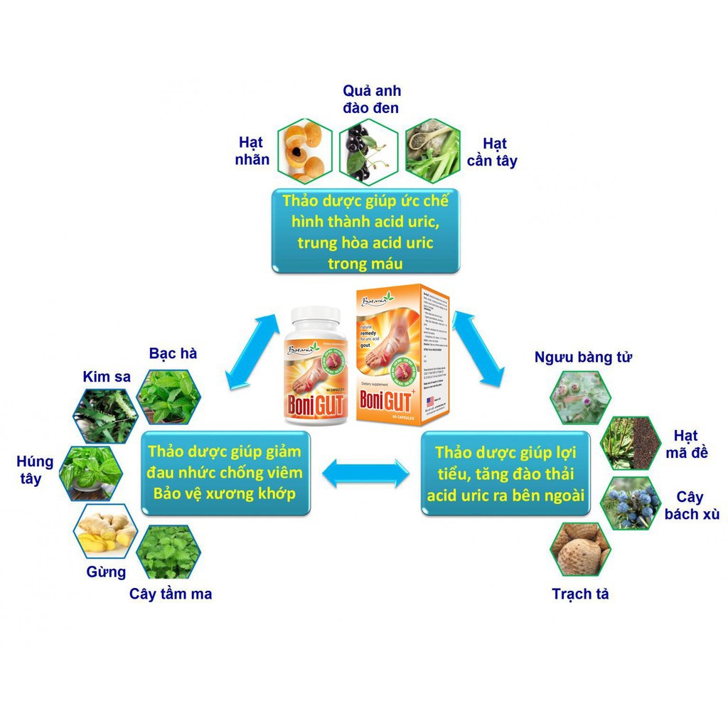 Bonigut  Hỗ Trợ cải thiệnị Gout Lợi tiểu, tăng cường đào thải acid uric ra ngoài cơ thể, giảm acid uric trong máu CN170