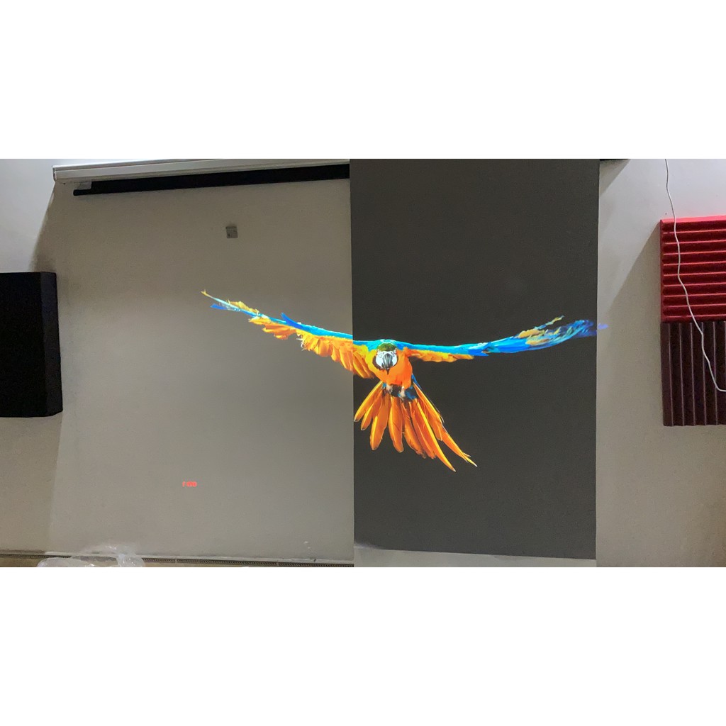 100" - Lẻ tấm màn tương phản cao V6+