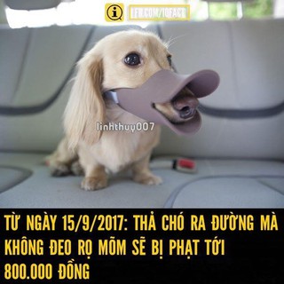 Rọ mõm Ducky (mỏ vịt) [có sẵn ] siêu đáng yêu bảo vệ thú cưng và túi tiền của bạn