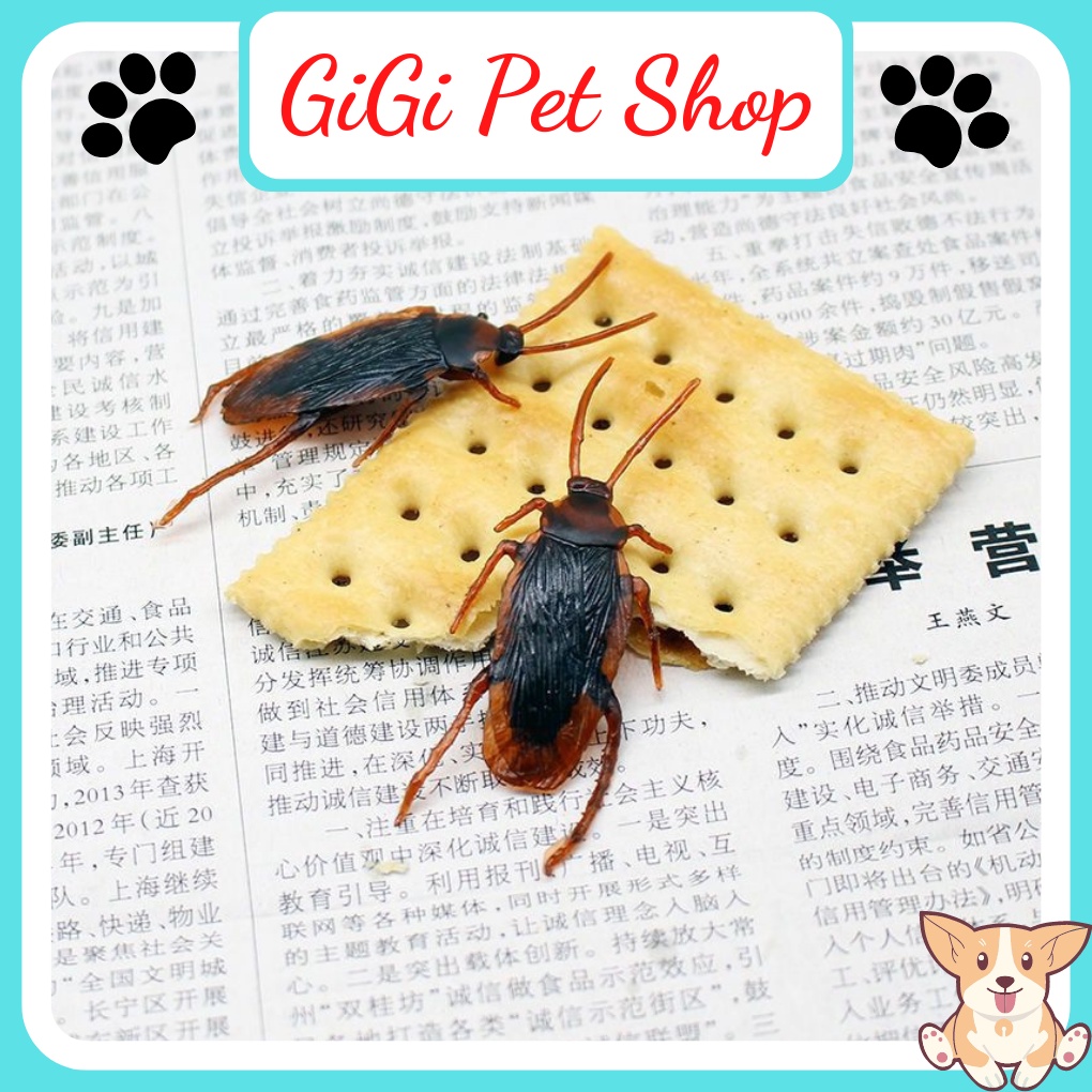 Gián đồ chơi cho thú cưng chó mèo giả trí phụ kiện được mô phỏng như thật - GiGi Pet Shop