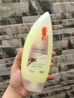 Sửa tắm cá ngựa vàng