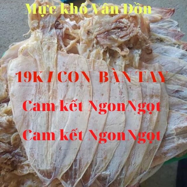 Gói 20 Con Mực Khô Vân Đồn To Bằng Bàn Tay