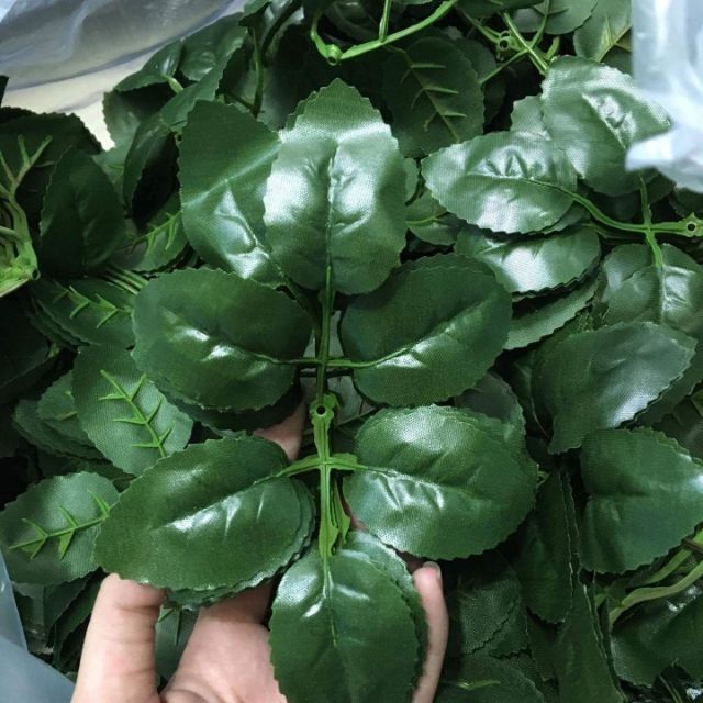 Lá hoa hồng 1kg