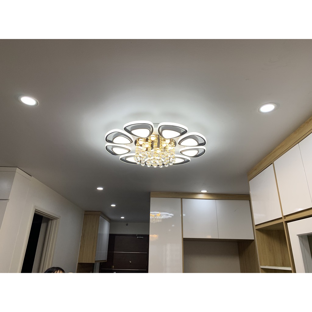 Đèn ốp trần phòng khách phòng ngủ trang trí 5 cánh phale tăng chỉnh sáng hiện đại có 3 chế độ sáng tăng chỉnh Mã 2066/5