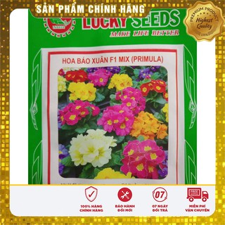 Bộ gói hạt giống Báo xuân
