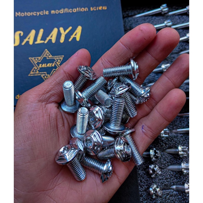 Ốc Salaya 8ly15 ( Giá 1 con)