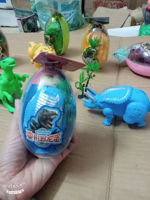 TRỨNG CÁC LOÀI ĐỘNG VẬT HOANG DÃ