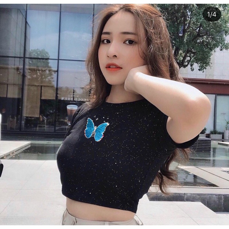 Áo croptop hình bướm, áo thun nữ ngắn tay ôm dáng A5 - Colory shop