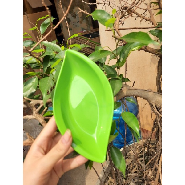 Đĩa Nhựa Hình Chiếc Lá, Dĩa Đựng Đồ Ăn Vặt Song Long 2754, 2753 - Duonghieu6789