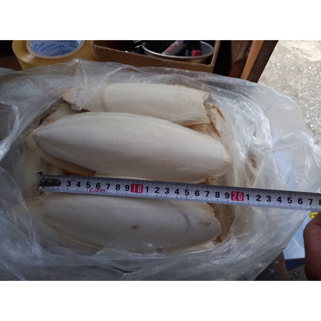 Nan mực cho chim yến phung,manh manh chim cảnh