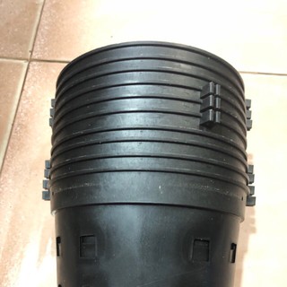 10 CHẬU TRỒNG LAN PHI 16 NHẬP KHẨU.