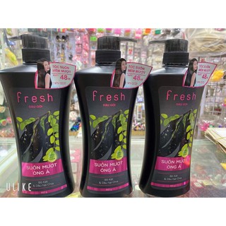 DẦU GỘI BỒ KẾT FRESH