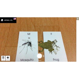 Bộ Thẻ Học 4D Cho Bé