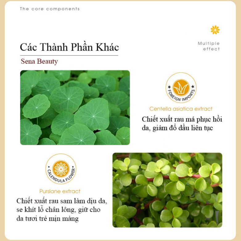 Nước thần hoa cúc Calendula Moisturizing Essence Water Maigoole 200ML Sena Beauty | BigBuy360 - bigbuy360.vn
