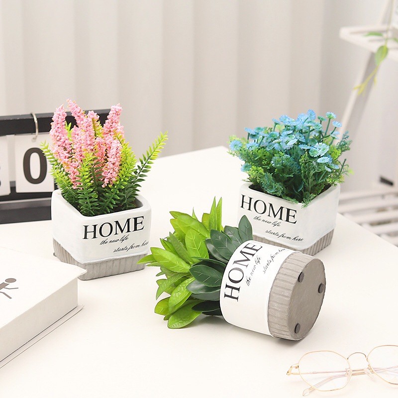 CHẬU HOME TRANG TRÍ ĐỂ BÀN