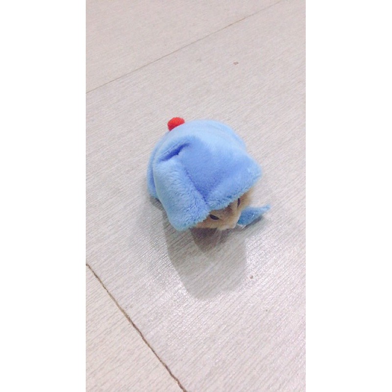 Áo choàng cho HAMSTER / SÓC 🐹🐿🦔