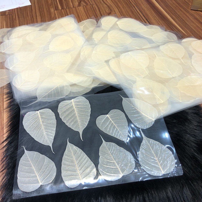 Lá Bồ Đề Trắng Tự Nhiên - mang lại may mắn, bình an | BigBuy360 - bigbuy360.vn