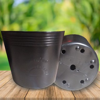 Bộ 5 Chậu nhựa trồng cây đường kính 43x30cm