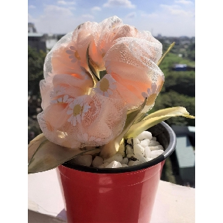 Dây buộc tóc Scrunchies hoa cúc trắng hai lớp