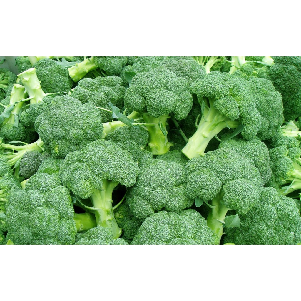 Hạt Giống súp lơ xanh dễ trồng TOTT's fertilizer