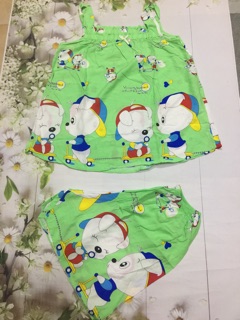 Đồ bộ tole(Lanh)2 da