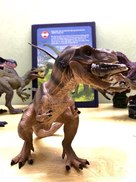 Mô Hình Khủng Long Terannosaurus Rex