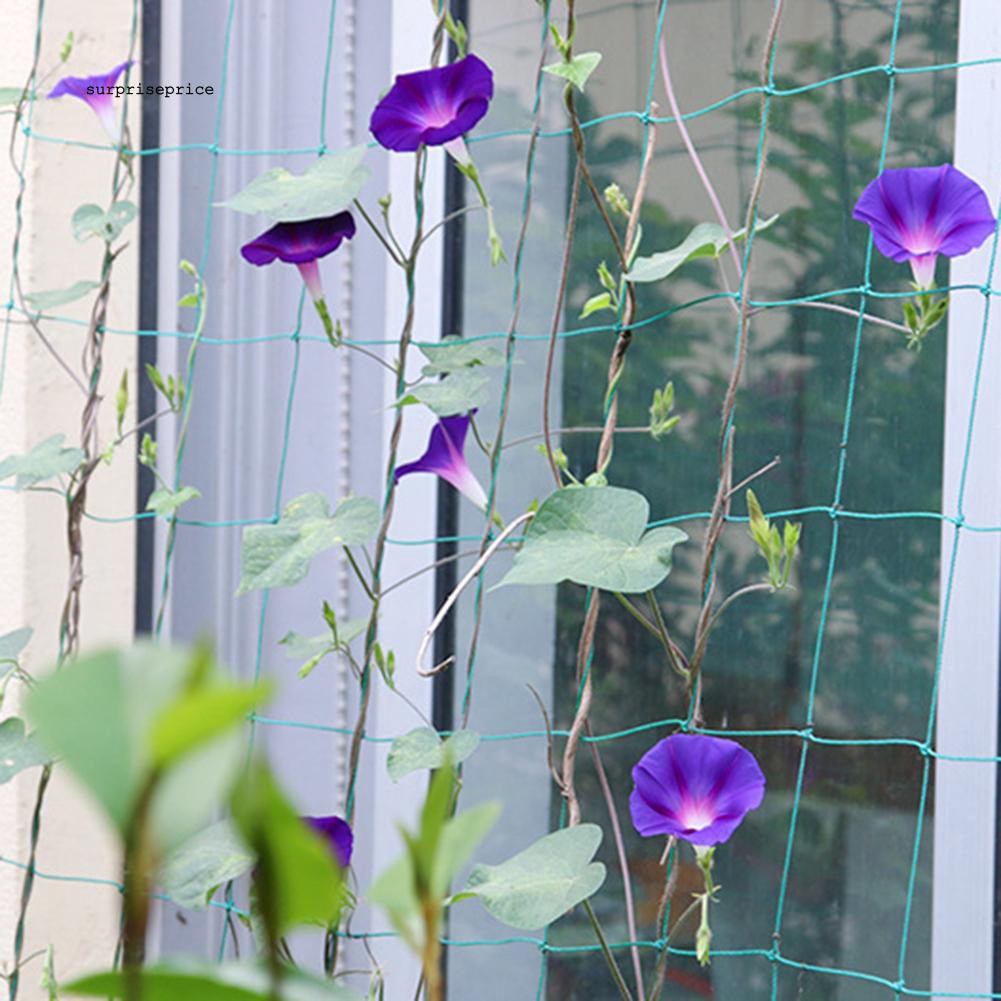 Lưới hỗ trợ trồng cây dây leo bằng nylon