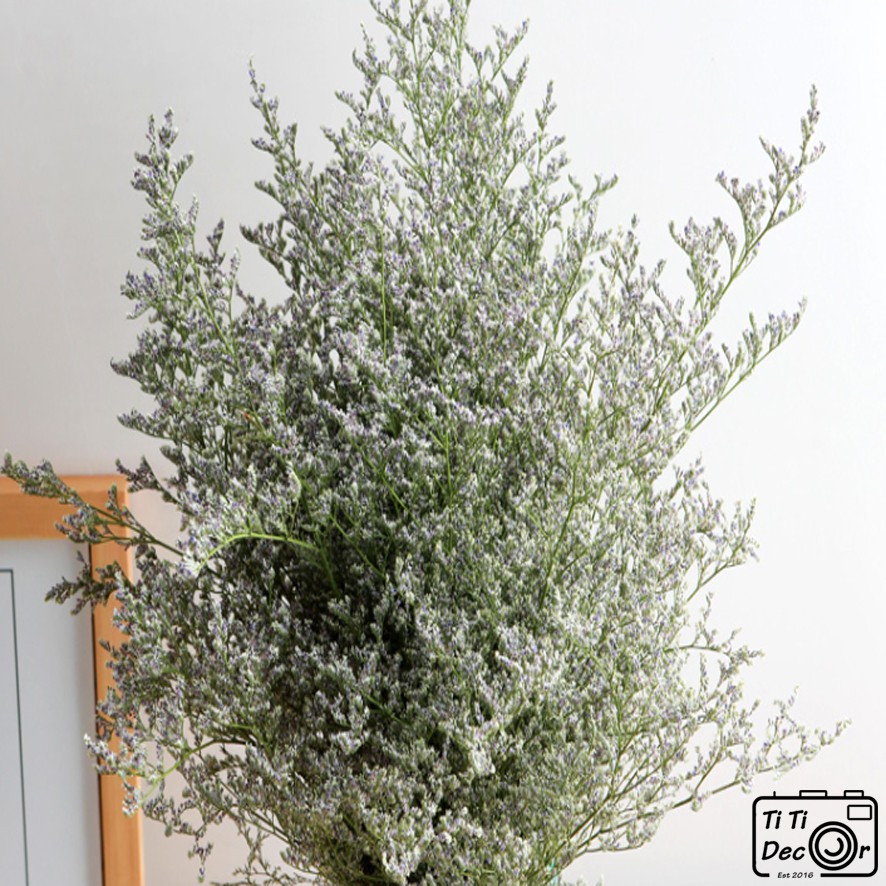 Bó hoa sao tím khô decor chụp ảnh sản phẩm, trang trí nhà cửa, cửa hàng, bó hoa cưới