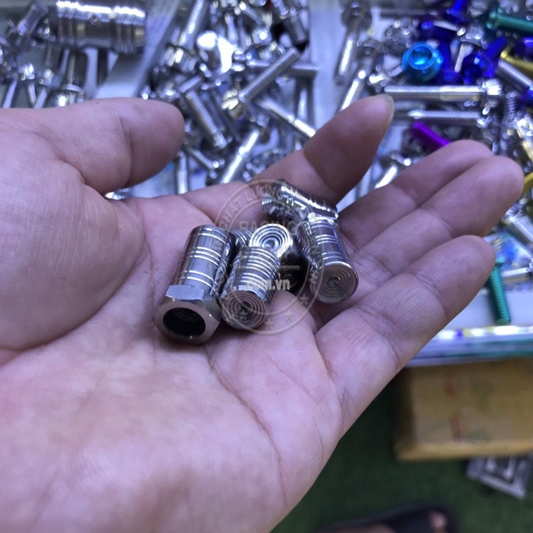 Chụp Van Vòi Salaya Chất Liệu Inox 304 Không Xuống Màu Hình Trụ (1 Cặp)
